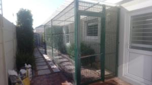 catio (1)