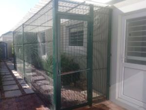 Catio